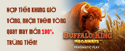 Chào Mừng Thành Viên Mới 100% promotion banner